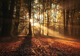 How Seasonal Change Affects Human Biology